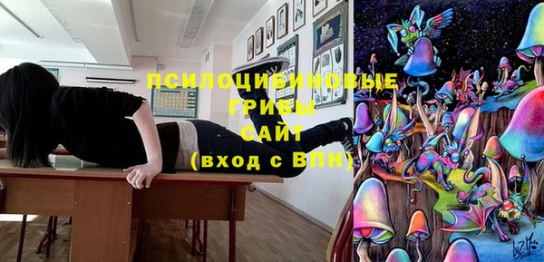 гидра Балахна