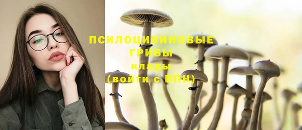 эйфоретик Вязники