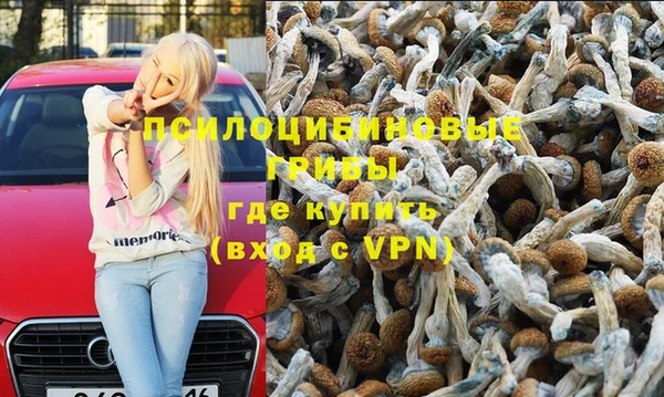 Альфа ПВП Беломорск