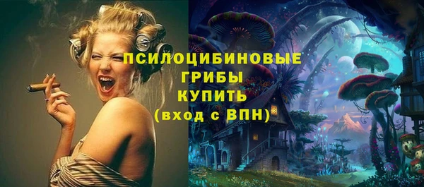 гидра Балахна