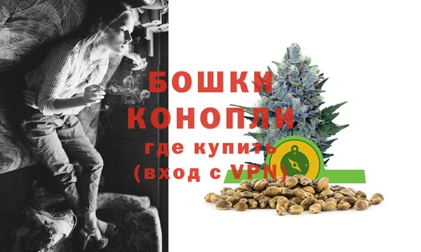 гидра Балахна