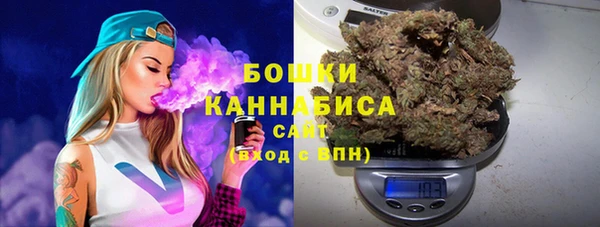 сатива Карталы